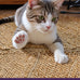 DEXI Jute Door Mat 24x36, Leaf Shaped Inside Entry Mat, Beige