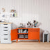 Washsemba 2 Door Accent Cabinet,Orange Metal Storage Cabinet with Adjustable Shelf,2-Tier Shelf,Multipurpose Metal Locker Storage for Office Home,Music Studio (Orange)