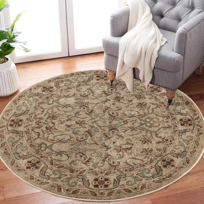 SUPERIOR Indoor Area Rug, Traditional Floral Scroll Décor,2'7"x8', Ivory