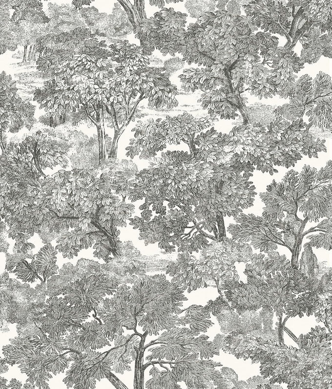 Chesapeake Black Spinney Toile Wallpaper, Prepasted, Washable, Strippable, 20.5 in x 33 ft